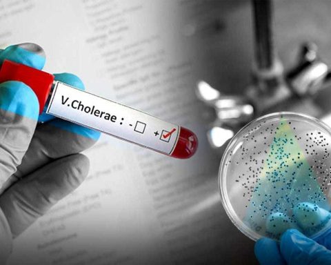 Autoridades dominicanas refuerzan prevención del cólera en frontera