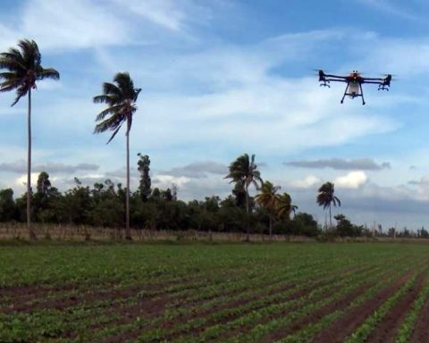 Drones in Pinar del Río: technology for agriculture in crisis