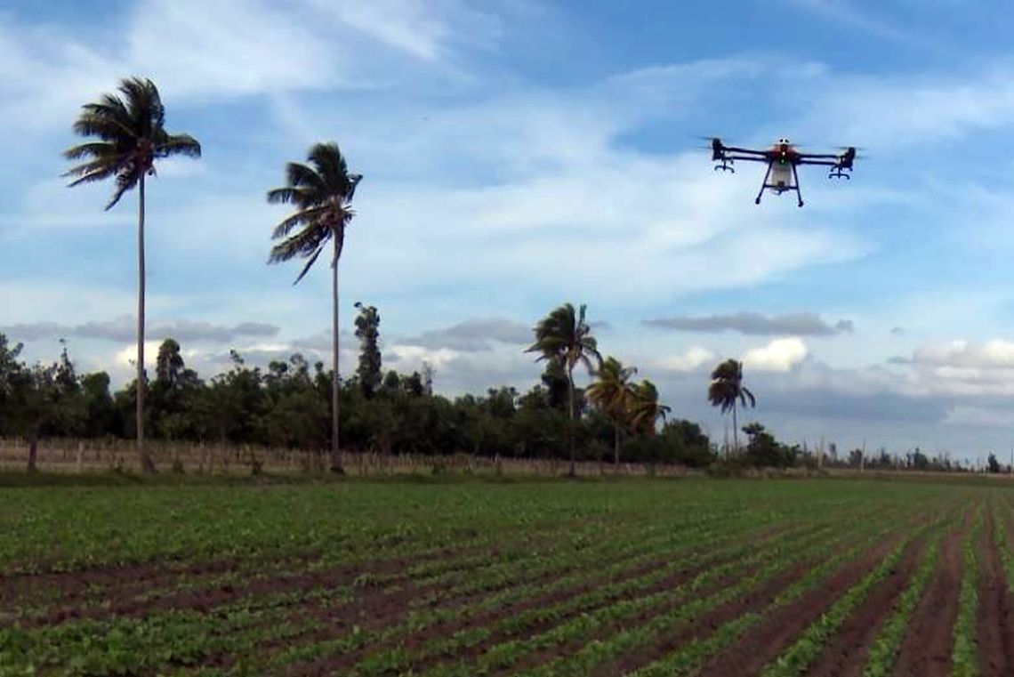Drones in Pinar del Río: technology for agriculture in crisis