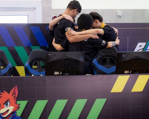 E-sports at JUBs: athletes evaluate the pros and cons of professionalization