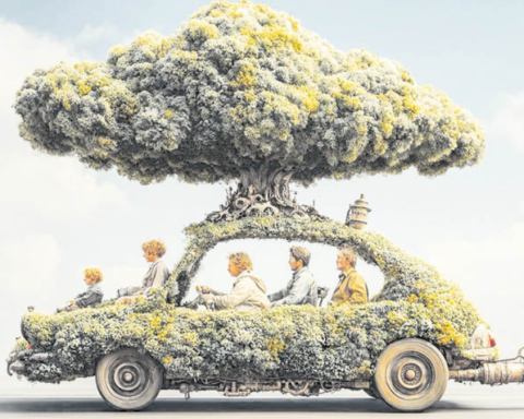 Ecomobility: path towards carbon neutrality