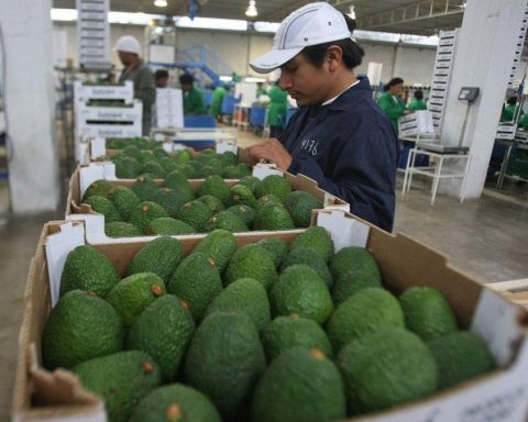 Economy grew 3.18% in August: these were the sectors that drove the result