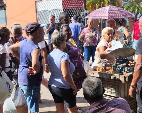 Eight economists propose radical solutions to get Cuba out of the crisis