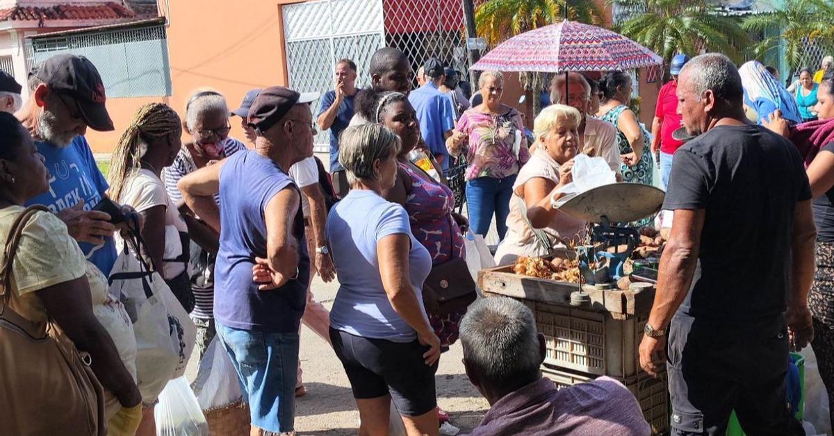 Eight economists propose radical solutions to get Cuba out of the crisis