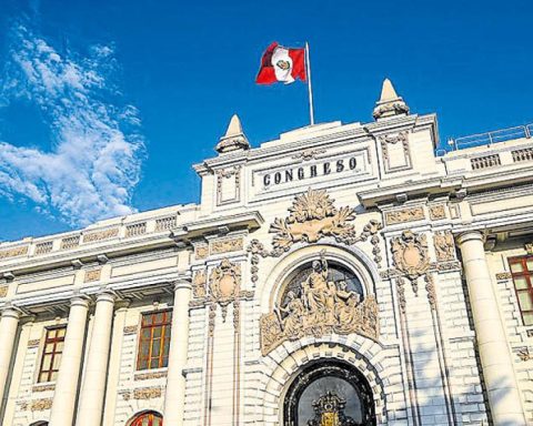 Executive analyzes going to the TC for fiscal spending initiatives of Congress