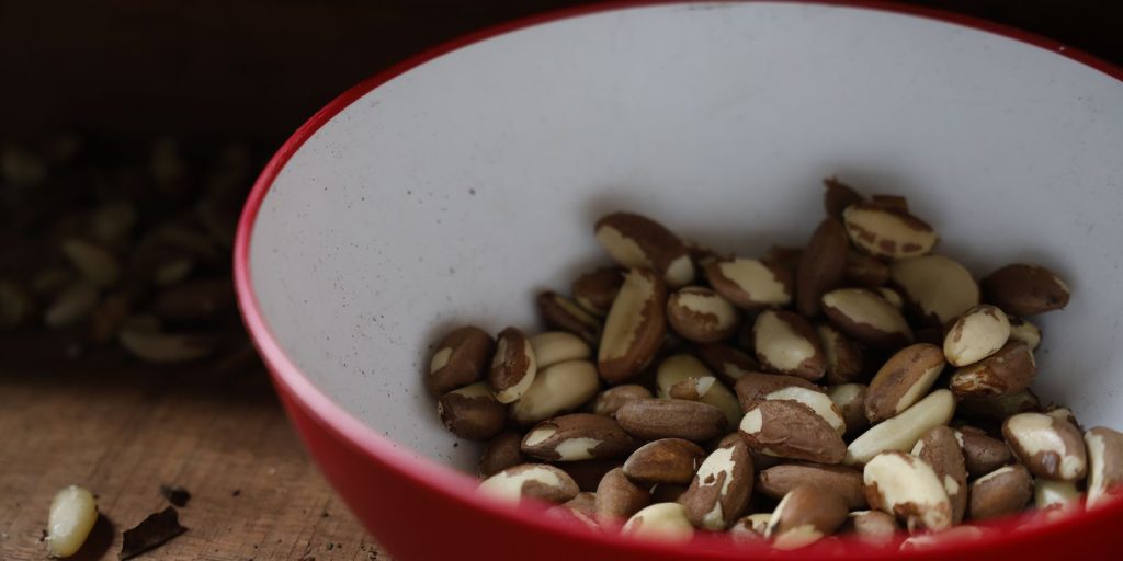 Family Farming in the Northeast goes to the largest fair world food