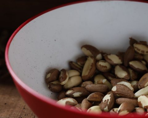 Family Farming in the Northeast goes to the largest fair world food