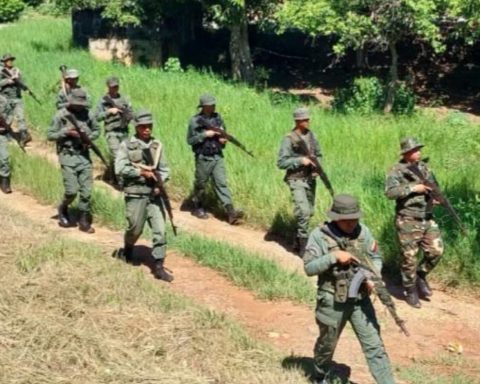 Fanb destroyed 6 hectares of camouflaged marijuana with beans