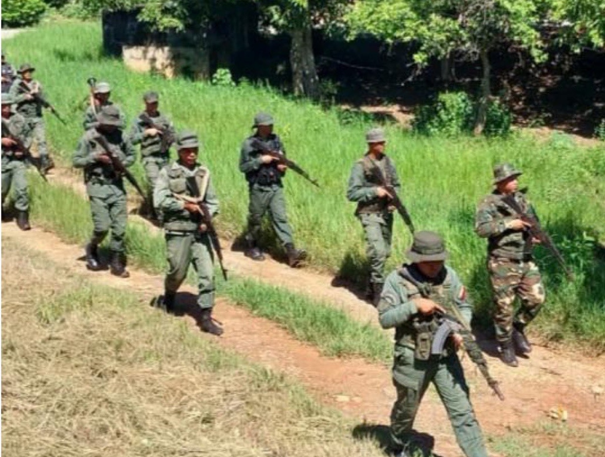 Fanb destroyed 6 hectares of camouflaged marijuana with beans