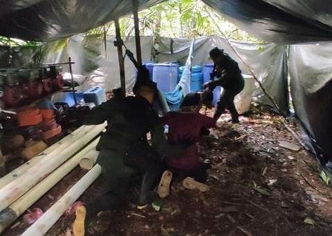 Fanb dismantles two illegal camps in the Amazonas state