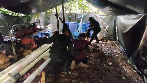 Fanb dismantles two illegal camps in the Amazonas state