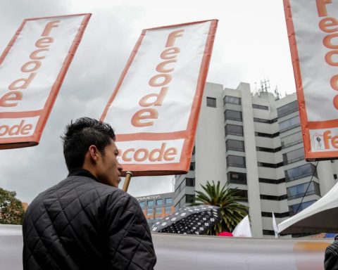 Fecode announces national teachers' strike on October 30 in defense of public education