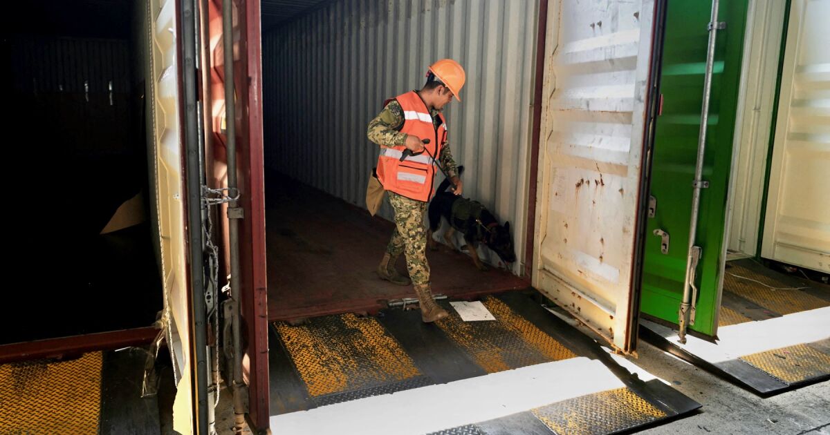 Fiscal huachicol generates damage to the treasury for more than 600,000 million pesos