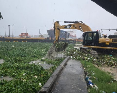 Floating Bridge temporarily closed due to dragging of lilacs and debris in the Ozama River