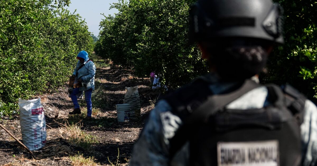 For fear of reprisals, 96% of extortions are not reported in Michoacán