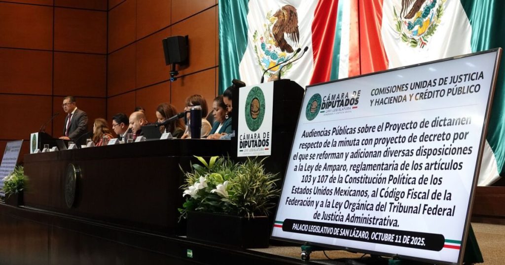 Forums on reform of the Amparo Law conclude; Brunette prepares approval