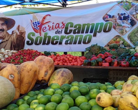 Four Campo Soberano Fairs benefit more than five Caracas communes