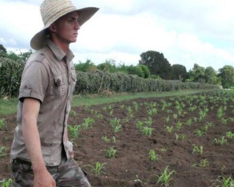 From military service to the countryside: Granma gives usufruct lands to the "demobilized"