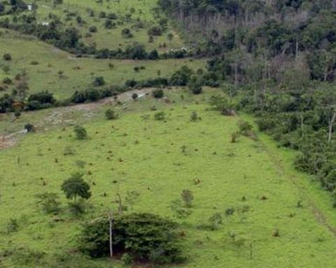 Government extends deadline for georeferencing of rural properties