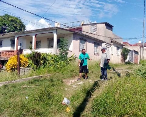 Grass grows and mosquitoes proliferate in the streets of Matanzas
