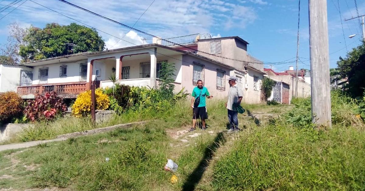 Grass grows and mosquitoes proliferate in the streets of Matanzas