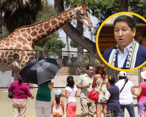 Guido Bellido proposes eliminating all zoos nationwide