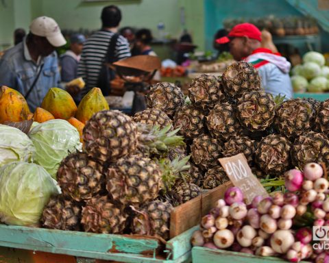 Havana government establishes new maximum prices for agricultural products