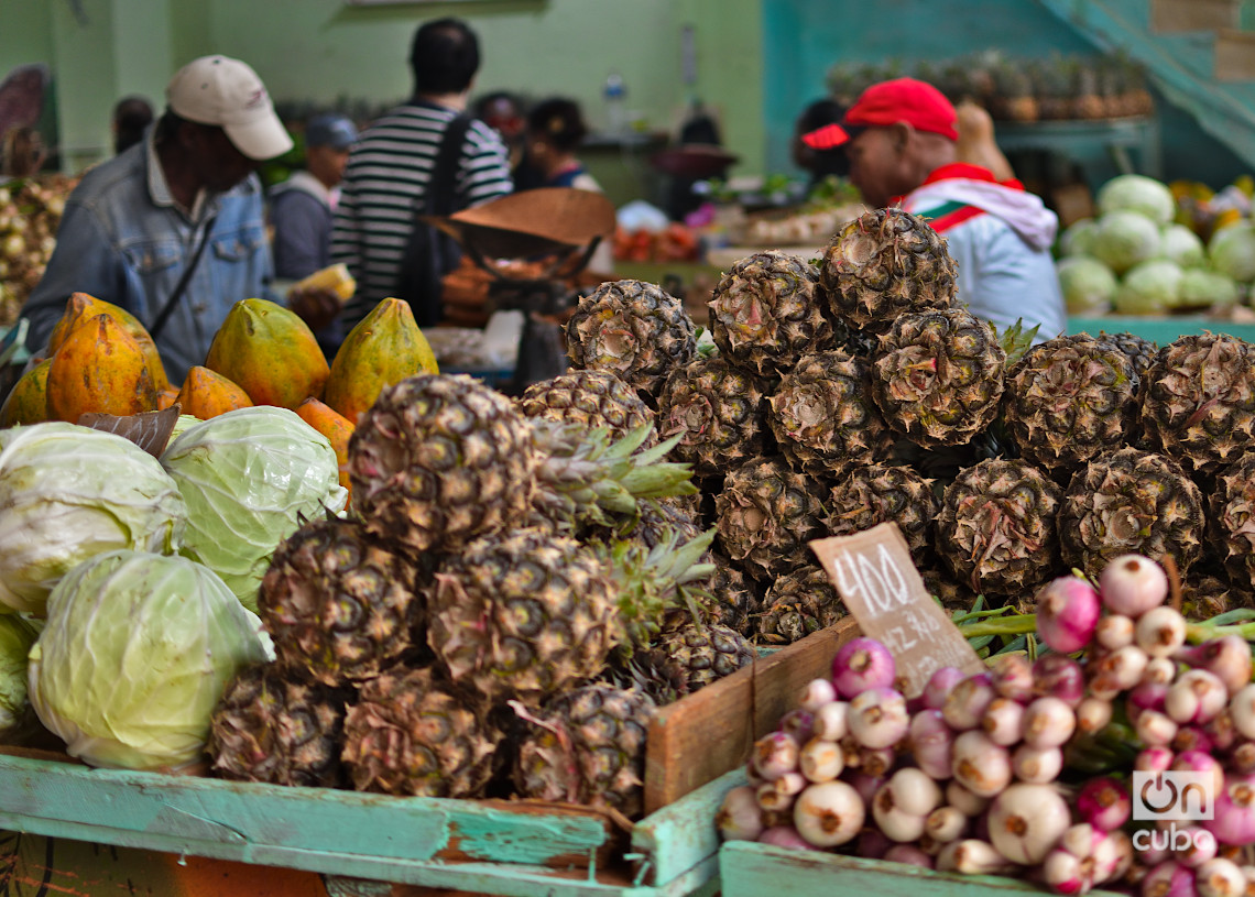 Havana government establishes new maximum prices for agricultural products