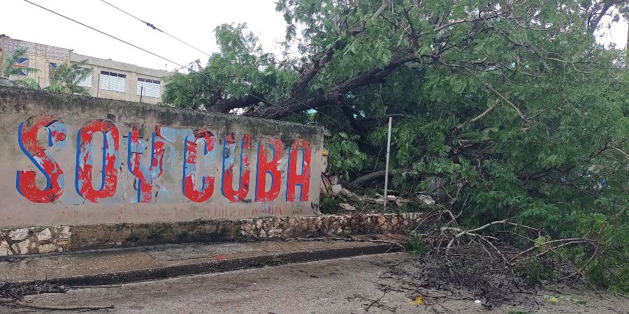 Árboles caídos en la calle Frexes, entre Morales Lemus y Narciso López, en la ciudad de Holguín