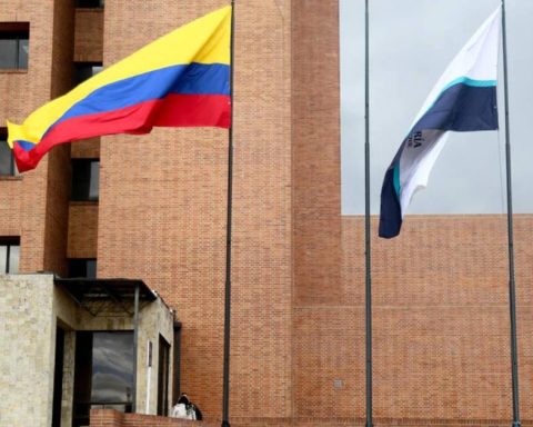 How do you know if you were appointed voting jury for the popular consultation?