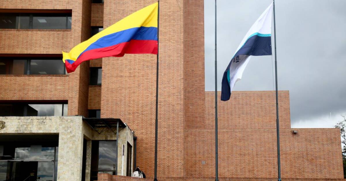 How do you know if you were appointed voting jury for the popular consultation?