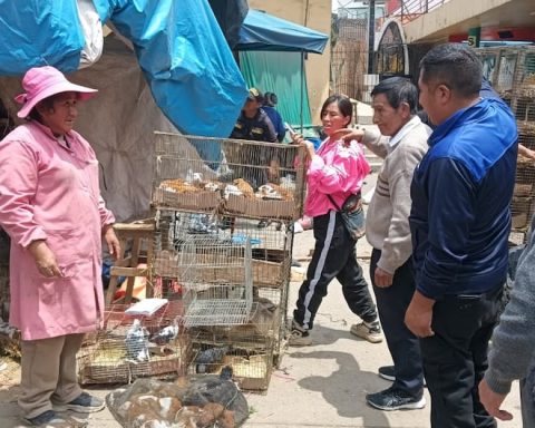 Huancayo: Animal sellers evicted due to contamination and invading evacuation zone (Video)