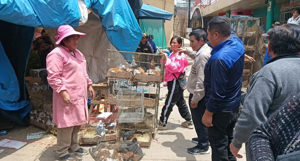 Huancayo: Animal sellers evicted due to contamination and invading evacuation zone (Video)