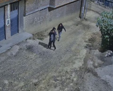 Huancayo: With extreme violence couple it takes to a woman to steal but camera records them (video)