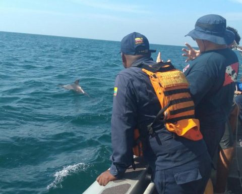 Hurricane Melissa in Santa Marta: authorities restrict navigation and maritime activities