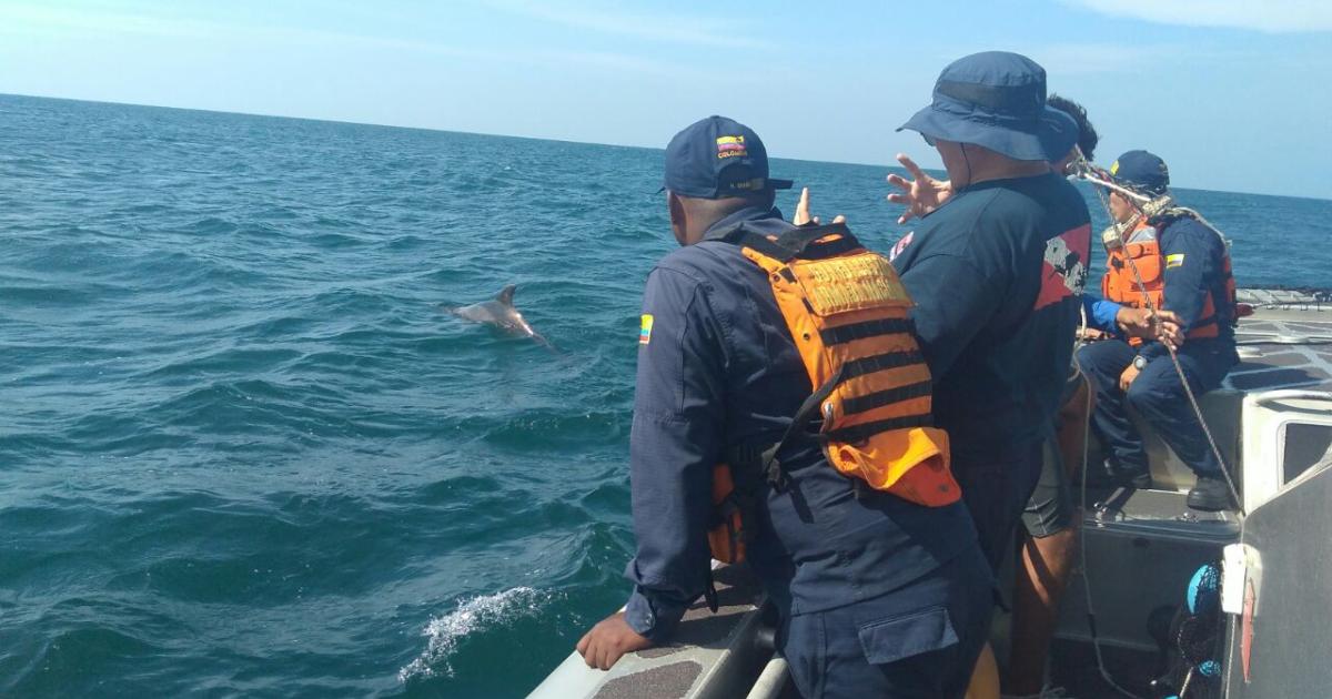 Hurricane Melissa in Santa Marta: authorities restrict navigation and maritime activities