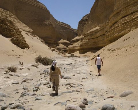 Ica in a weekend: Five obligatory stops for your next getaway