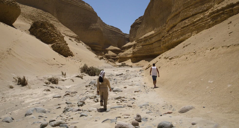 Ica in a weekend: Five obligatory stops for your next getaway