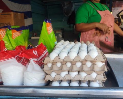In just seven months, Dominican doubles its egg exports to Cuba