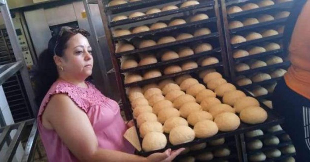 In the absence of oil, moringa waste and solar panels to bake bread