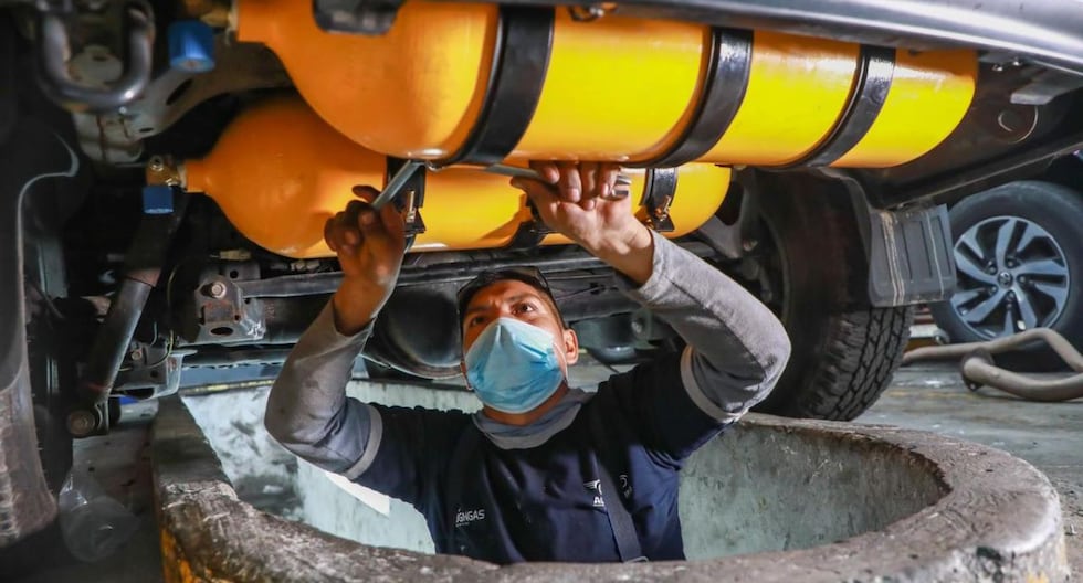 In which businesses is it convenient to use Natural Gas? These are the new opportunities in Peru