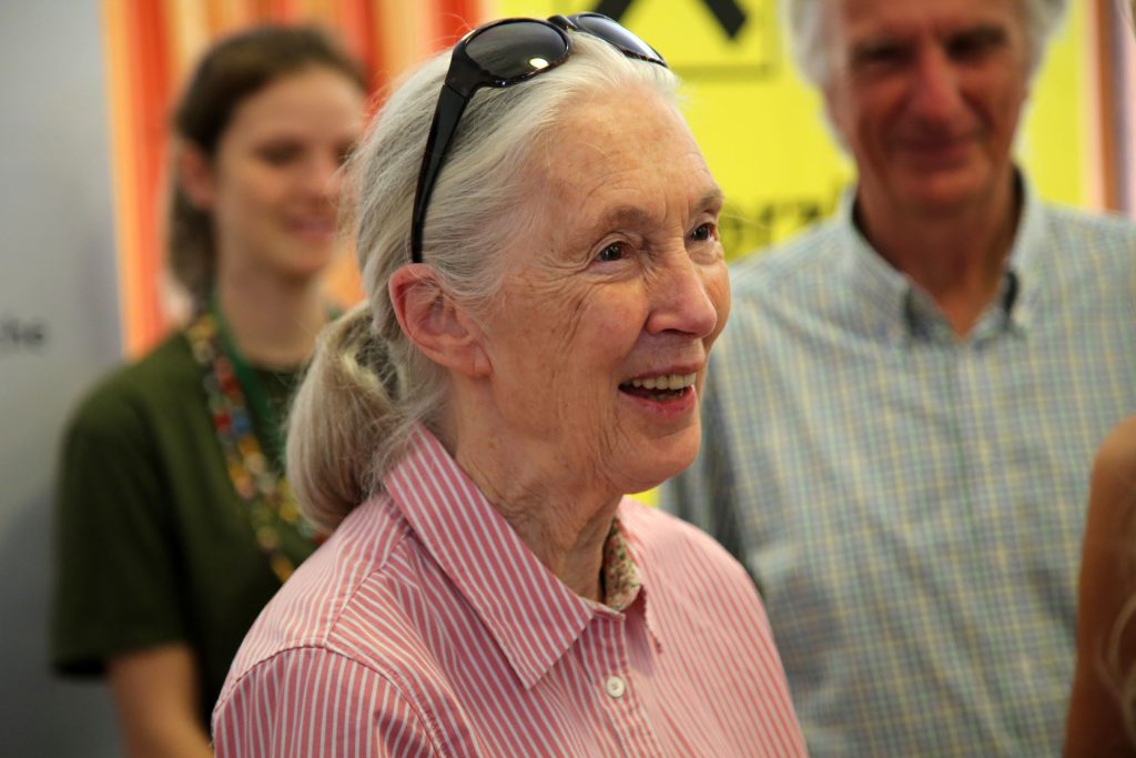 Jane Goodall changed the paradigm of human evolution and the place we occupy in nature