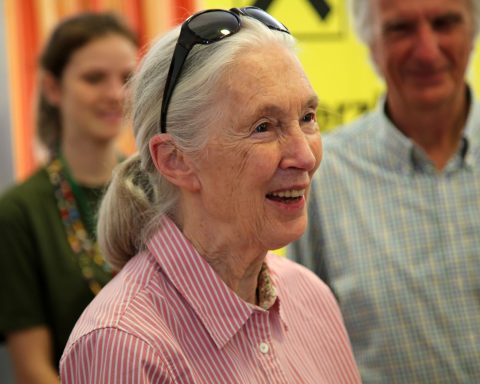 Jane Goodall changed the paradigm of human evolution and the place we occupy in nature