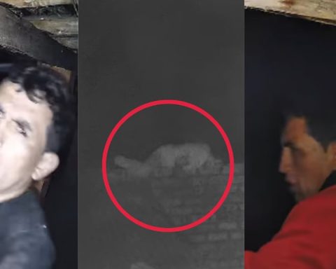 Jauja: Subject recently released from prison is caught stealing from a home in Muquiyauyo