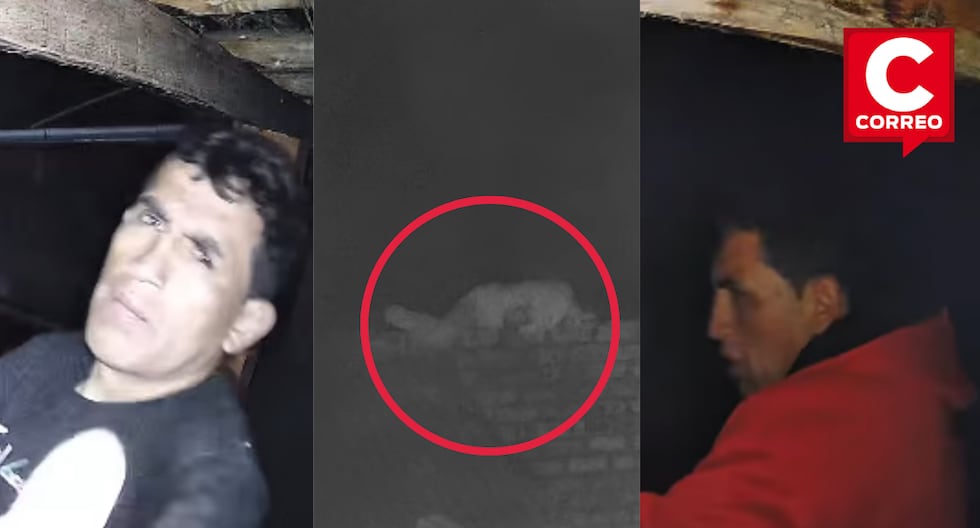 Jauja: Subject recently released from prison is caught stealing from a home in Muquiyauyo