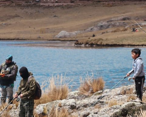 La Oroya: the best compete in amateur fishing at almost 5 thousand meters above sea level
