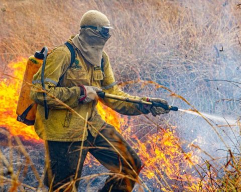 Lightning causes new fire outbreak in Chapada dos Veadeiros