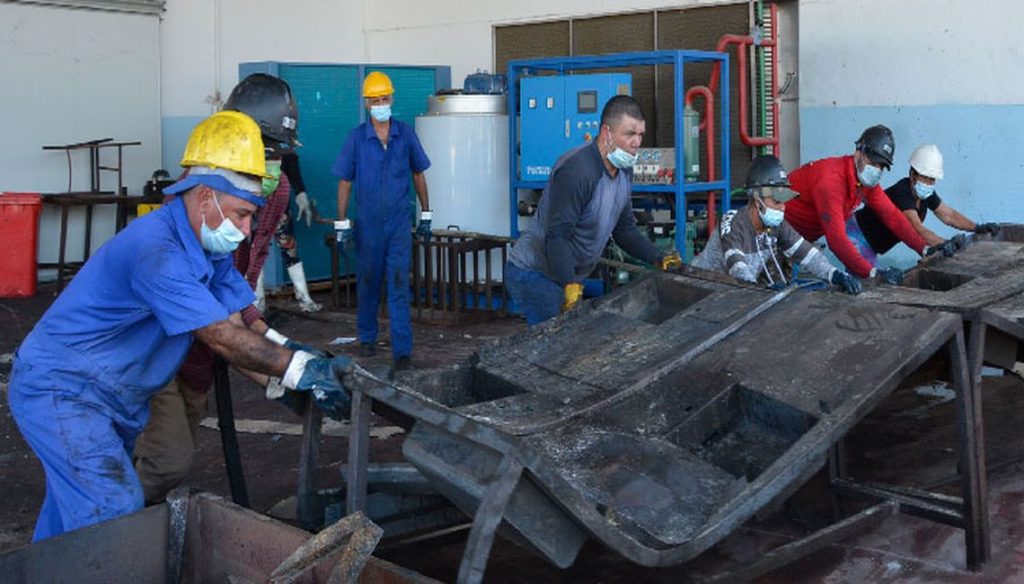 Lobster: the red gold that will finance the recovery of La Coloma, in Pinar del Río