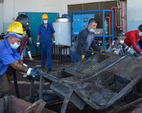 Lobster: the red gold that will finance the recovery of La Coloma, in Pinar del Río