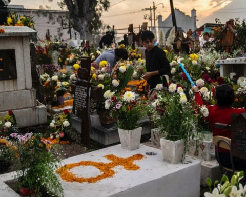 Long weekends in November 2025: when are there official rest days in the month?